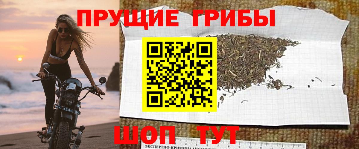 Псилоцибиновые грибы мухоморы  Вход с VPN  где найти   Шадринск 